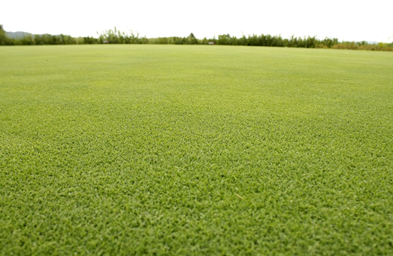 1736241815287359.png 圖片2.png