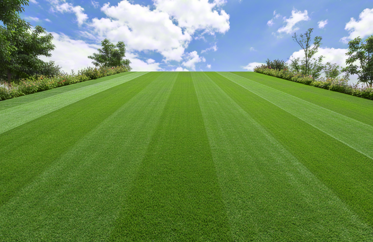 人工草坪