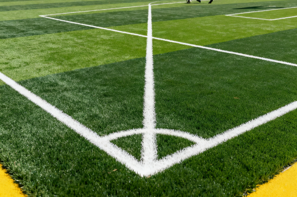 1760091440302805.png 人工草坪