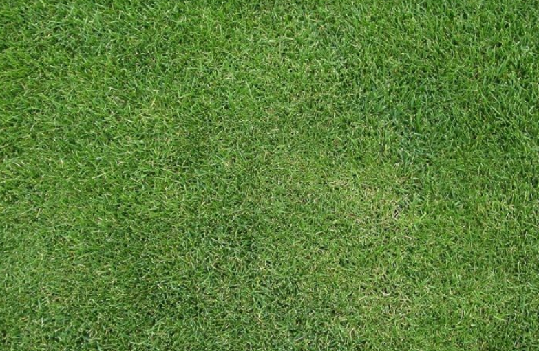 人造草坪足球場(chǎng)：校園與社區(qū)的運(yùn)動(dòng)新選擇！