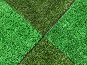 仿真草坪圖片