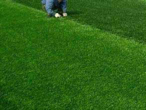 假草坪批發(fā)