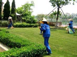 草皮的價(jià)格