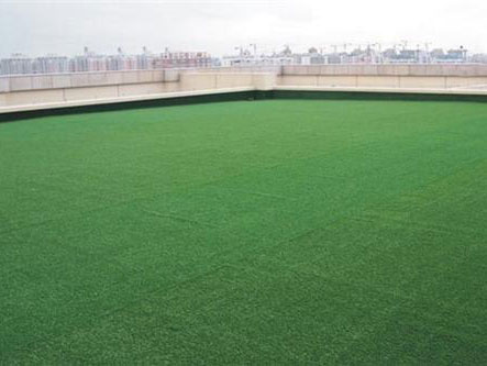 人造草坪優(yōu)點(diǎn)
