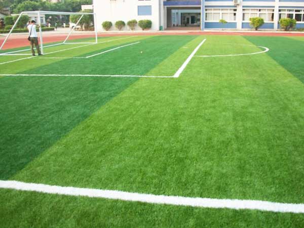 專業(yè)足球場(chǎng)草坪