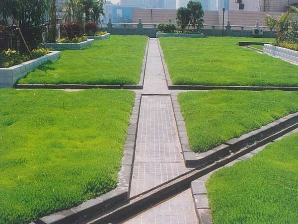 屋頂陽(yáng)臺(tái)綠化