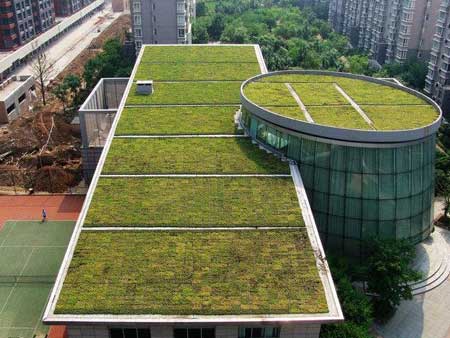 商場(chǎng)屋頂綠化